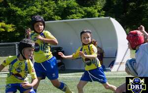 🏉🐬REPRISE de l'Ecole de Rugby - Catégorie U5, U7 et U9 , Mercredi 9 septembre de 16h30 à 18h00 au Stade Djorkaeff