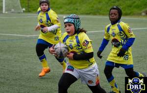 🏉🐬Mercredi 9 septembre de 17h00 à 18h30 au Stade Djorkaeff, REPRISE de l'Ecole de Rugby - Catégorie U11, U13 et U15