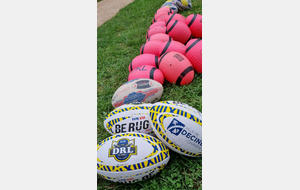 🏉🐬FIT XIII de 18h30 à 19h30 au Gymnase Zola - salle du haut
