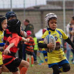 Top départ pour les jeunes Dauphins !