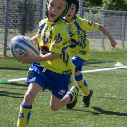 🏉🐬Samedi 12 septembre de 10h00 à 11h30 au Stade Djorkaeff, REPRISE de l'Ecole de Rugby du Samedi - Catégorie U5, U7, U9, U11, U13 et U15